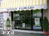 Fantasy Flowers