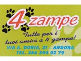 4 zampe - andora - animali - cane - gatto